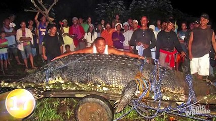 World's 20 Largest Animals