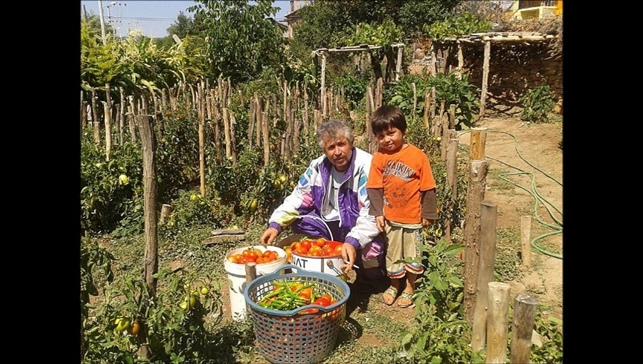 Tahir uçar Yolumuz Düşdü Gurbete