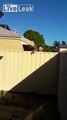 Racist Perth Woman attacking African Refugee Neighbours with racial slurs Part 1