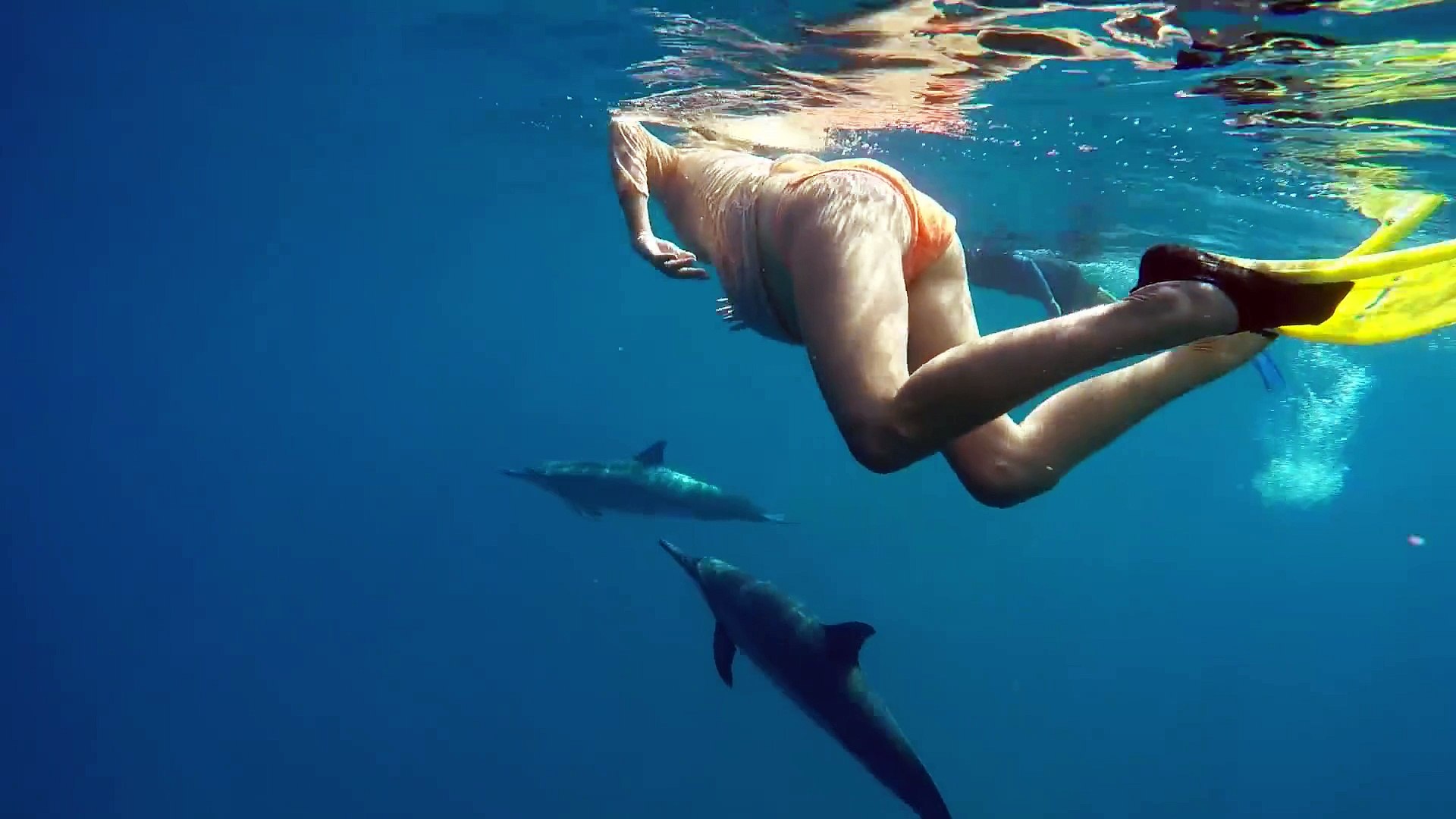 Une femme enceinte nage avec les dauphins... Trop mignon! - Vidéo  Dailymotion