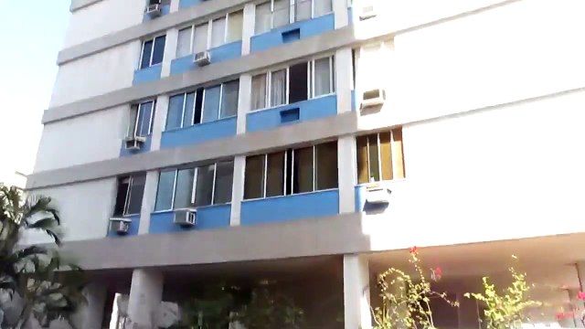 Chat coincé sur un batiment sauvé par des pompier au brésil - Très grosse frayeur!