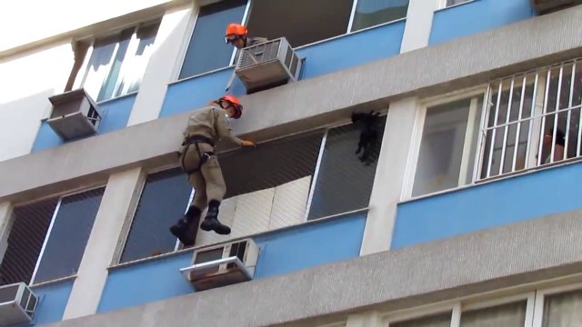 Cat stuck on building rescued by firefighters in Rio de - So scary