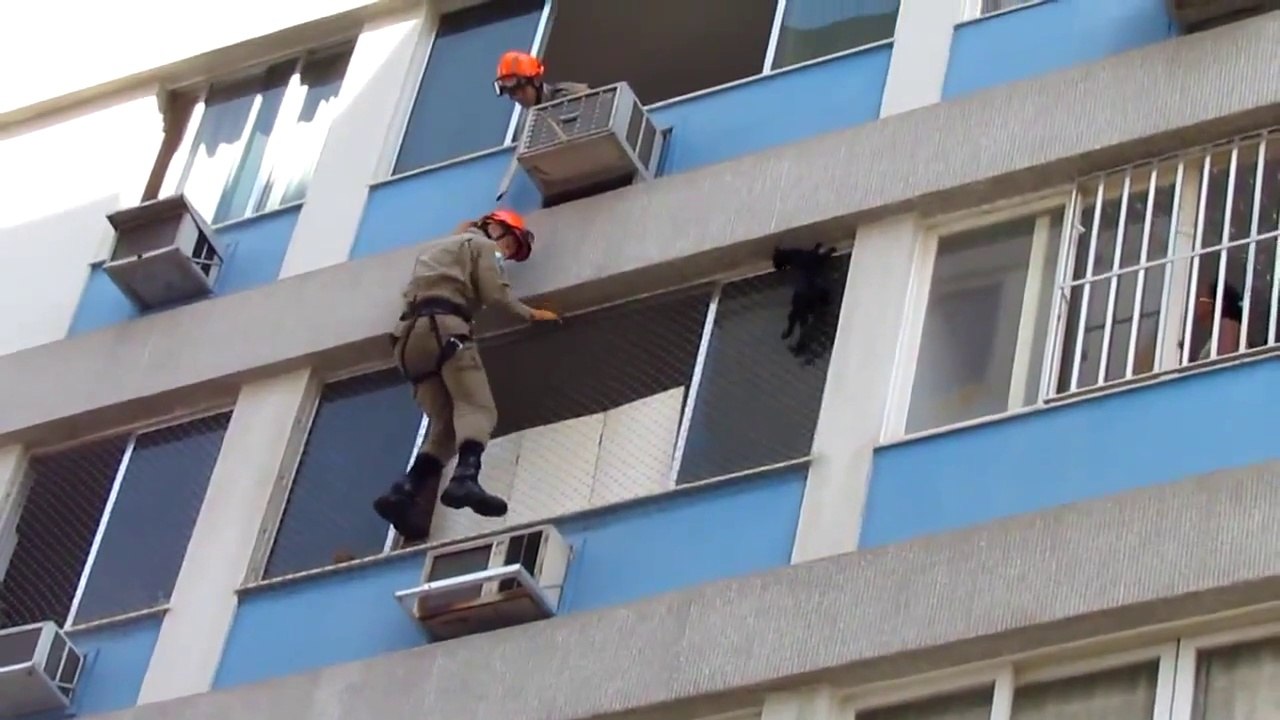 Cat stuck on building rescued by firefighters in Rio de  - So scary