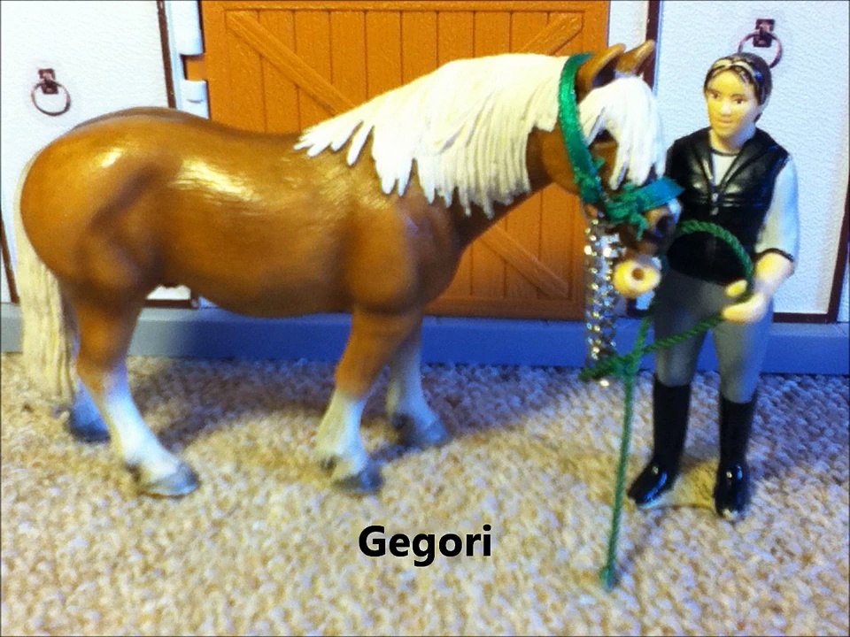 Meine Schleich-Pferde