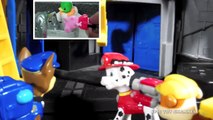 PAW PATROL Nickelodeon Parody  PAW PATROL and PEPPA PIG  Parody Video by EpicToyChannel