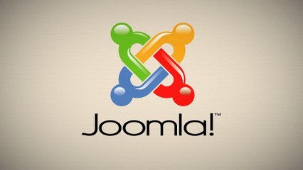 Joomla Developer  Miami - ( 305) 434-4698