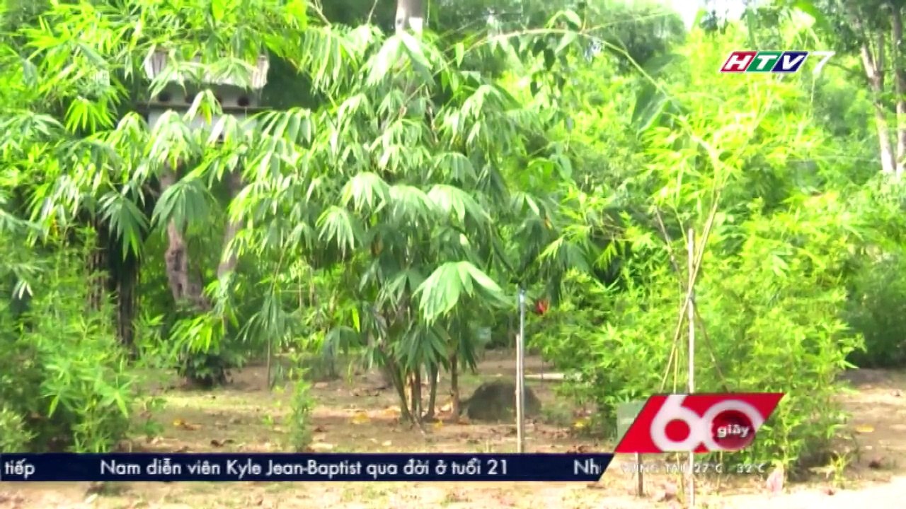60s - Du lịch - Thế giới quanh ta ngày 02/09/2015