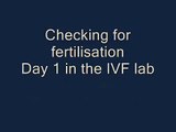 Checking for fertilisation