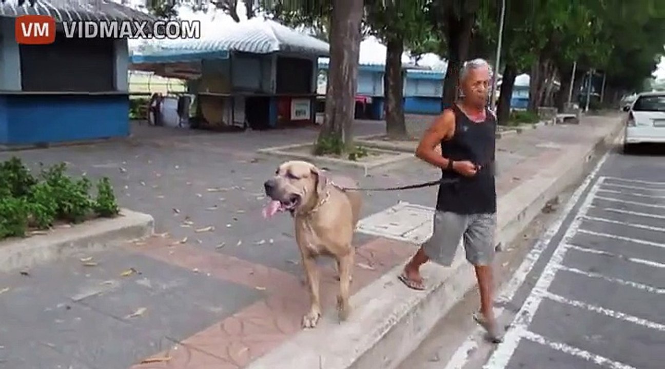 Kotka broni swoje małe w stylu ninja!