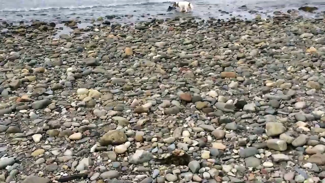 Que feriez-vous si vous découvriez ceci, et qu'il n'y avait personne dans les parages ?