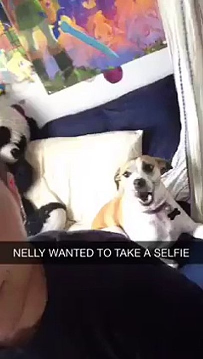 Un chien veut faire un selfie