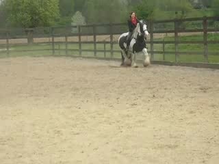 moi et sakira au trot