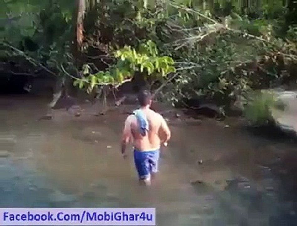 Totaly Animal Abuse - Comments About Stupid Man_(new)