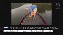Deux pêcheurs sauvent des chats de l'eau