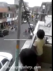 whatsapp latest funny videos trained dog driving motorcycle in middle of market