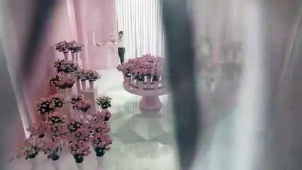 Air Wick Life Scents Kokuların Festivali Reklamı