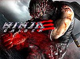 Ninja Gaiden III, Vídeo Impresiones