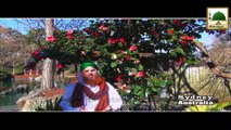 Beautiful Poetry - Haji Abdul Habib Attari - Madani Phool 01