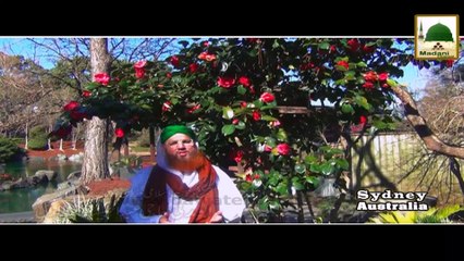 Beautiful Poetry - Haji Abdul Habib Attari - Madani Phool 01
