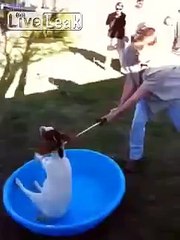 Louisiana: Reward increased to $13,000 for information about goat decapitation