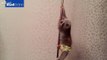 Pole dancing slow loris shows off his spinning skills