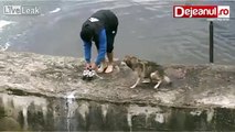 Dog rescued from water is so much grateful Hearttouching story