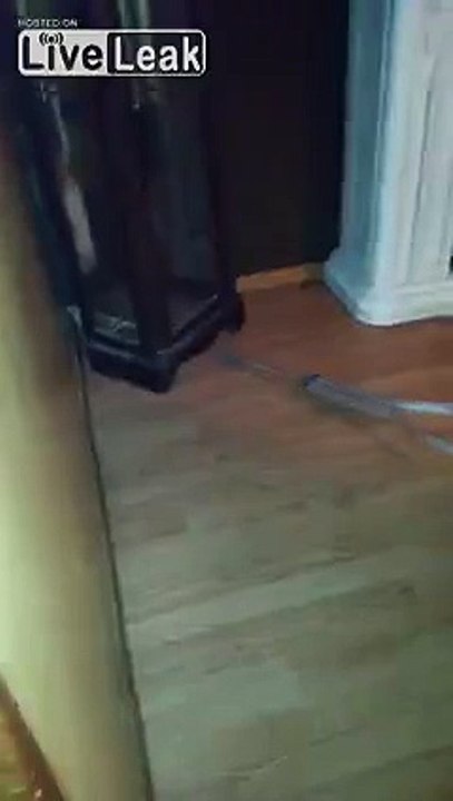 RATCHET GRANDMA KILLS a RAT = 'cuz it ate her MUSTARD =