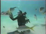 Stingray diving at Grand Cayman 1998.