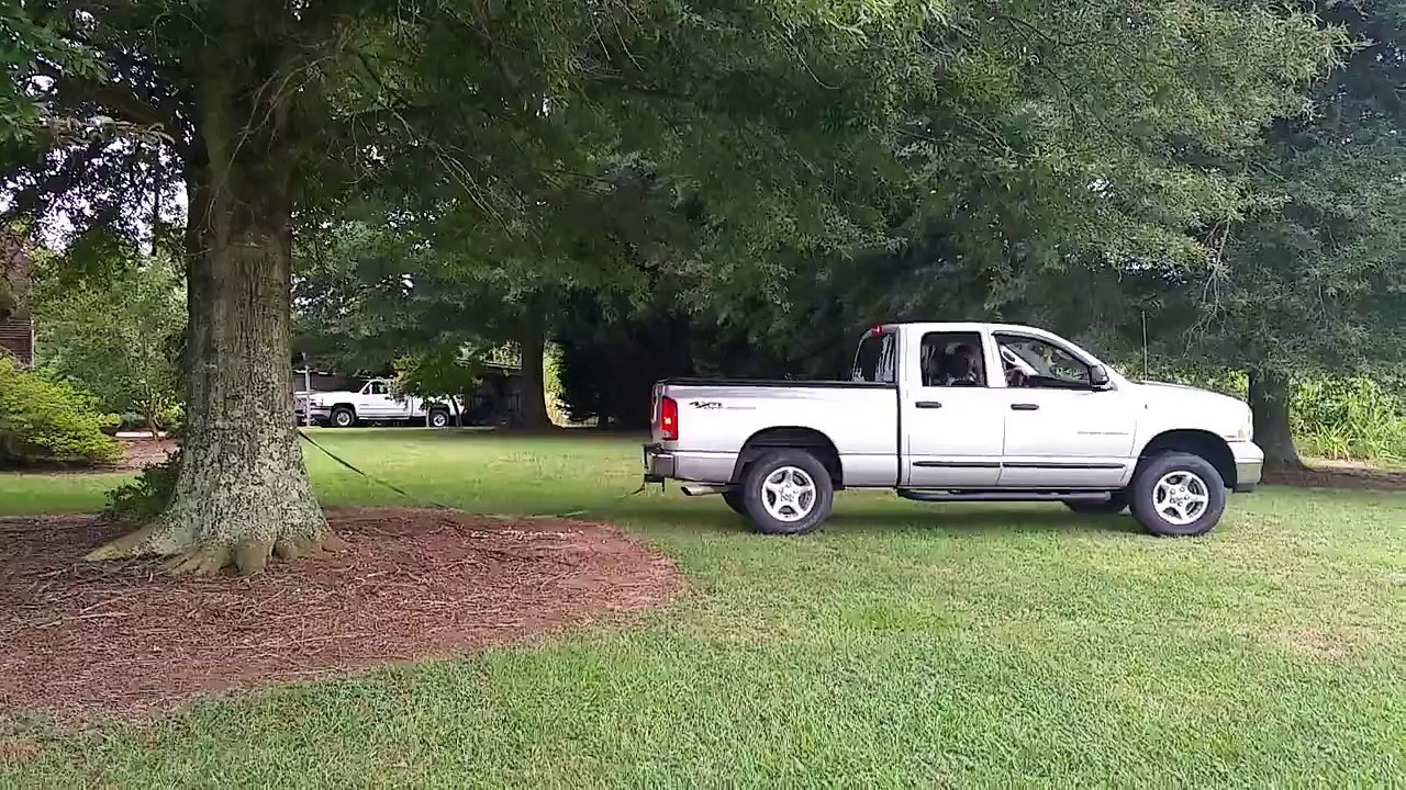 He wants to uproot a huge tree with his 4x4!--Il veut déraciner un arbre énorme avec son 4x4 !-