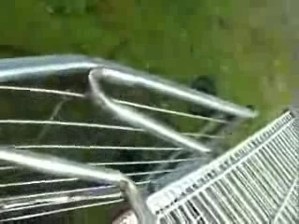 Jackass supermarket caddie