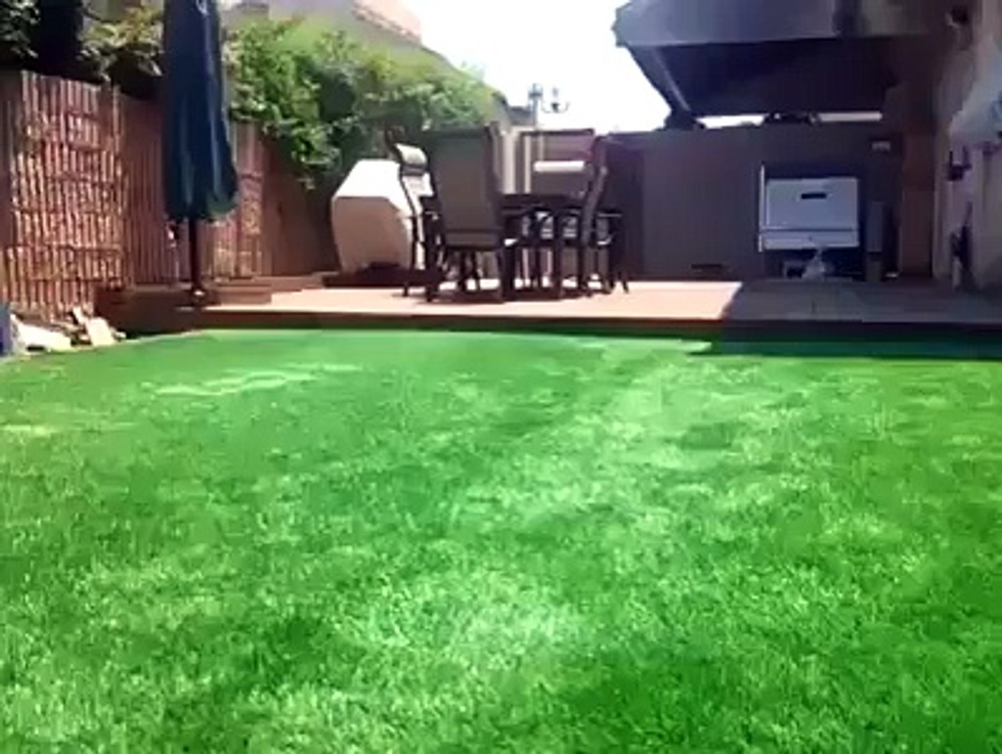 Amazing