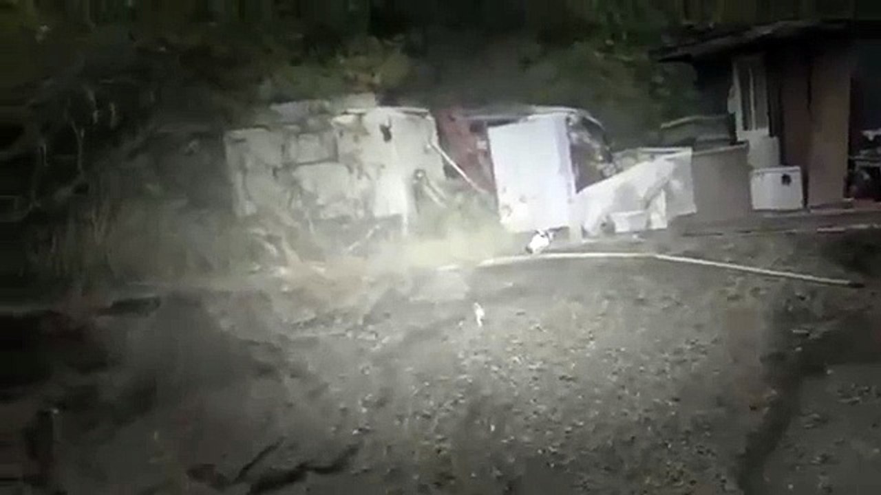 Mother Cat Saves Her Kitten