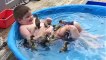 Il se baigne entouré de bébés canards !