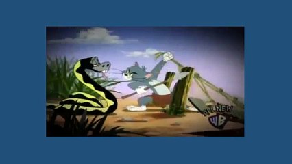 Tom and Jerry Cartoon - New Cat of Prey Jungle Love