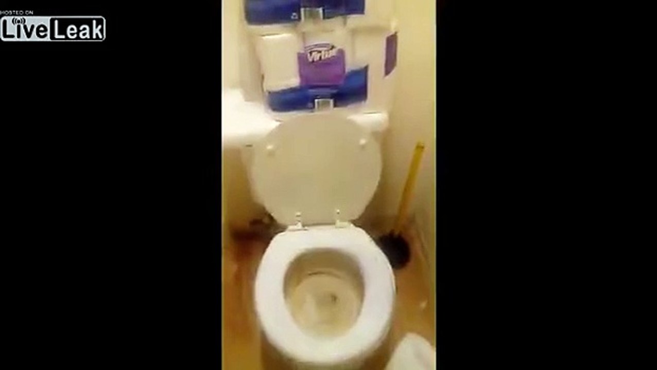 For the men who pee on the toilet seat! Dailymotion Video
