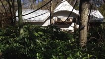 SSundee || A Wild Derp SSundee Appears (Atlanta Zoo)