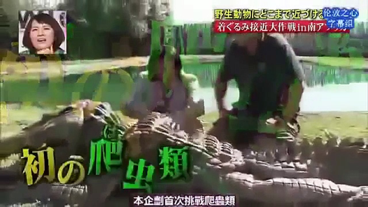 AMAZING MAD Funny Japanese Pranks = Humans vs Crocodile = Engsub