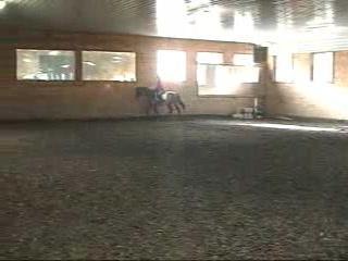 Landsong HB Jan 2006