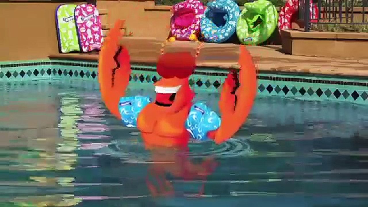 wahu nippas swim ring with canopy