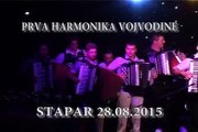 Prva harmonika Vojvodine Stapar  2015