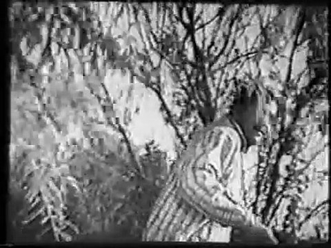 MEIN SONA TE MAHI MERA SUNEARA- REMIX - Noor Jahan