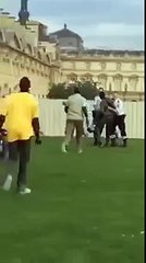 SHOULD THEY BE RETURNED TO AFRICA RIGHT AWAY ?