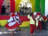Bolivia fiestas patrias 2010 en Italia AVI