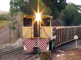 sugar cane train australia