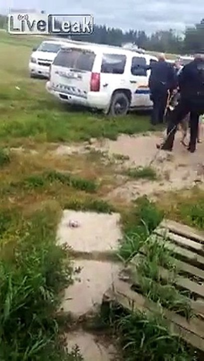 Cops arrest man, shoot womans dog.