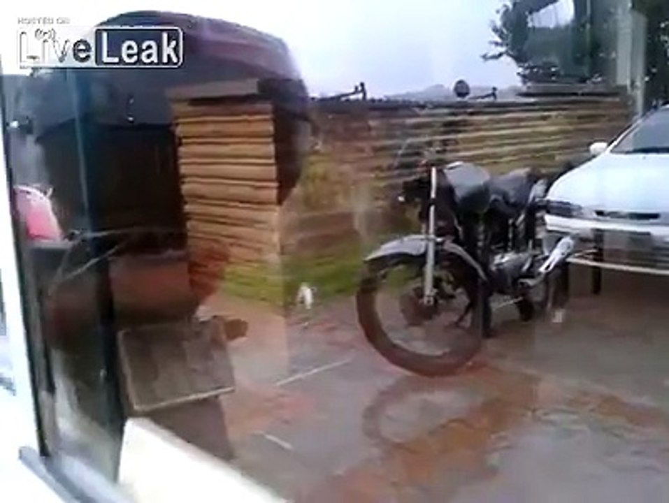 His buddy flew into the window