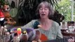 Have you seen the little ducks? - an action song for young children