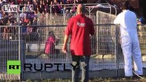 Canada: See HOG-wrestling Quebecois grapple swine at Festival of Pigs 2015