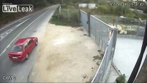 Assholes throwing dog over a fence