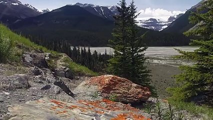 Curious Squirrel Checks Out a Camera